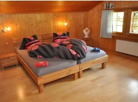 Trachsel-huus Apartment Lenk